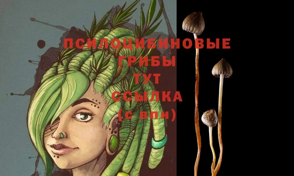 ешки Михайловск